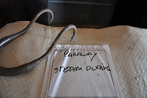 Steam Plains_6671 © Claire Parks Photography